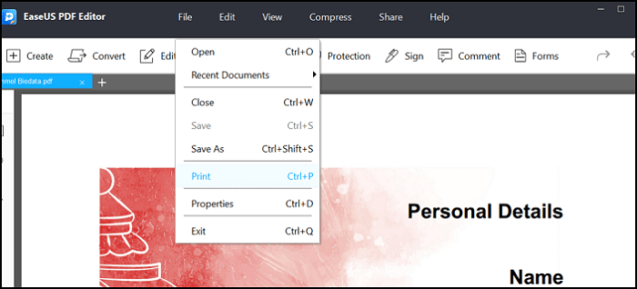 EaseUS PDF Editor Druckoption